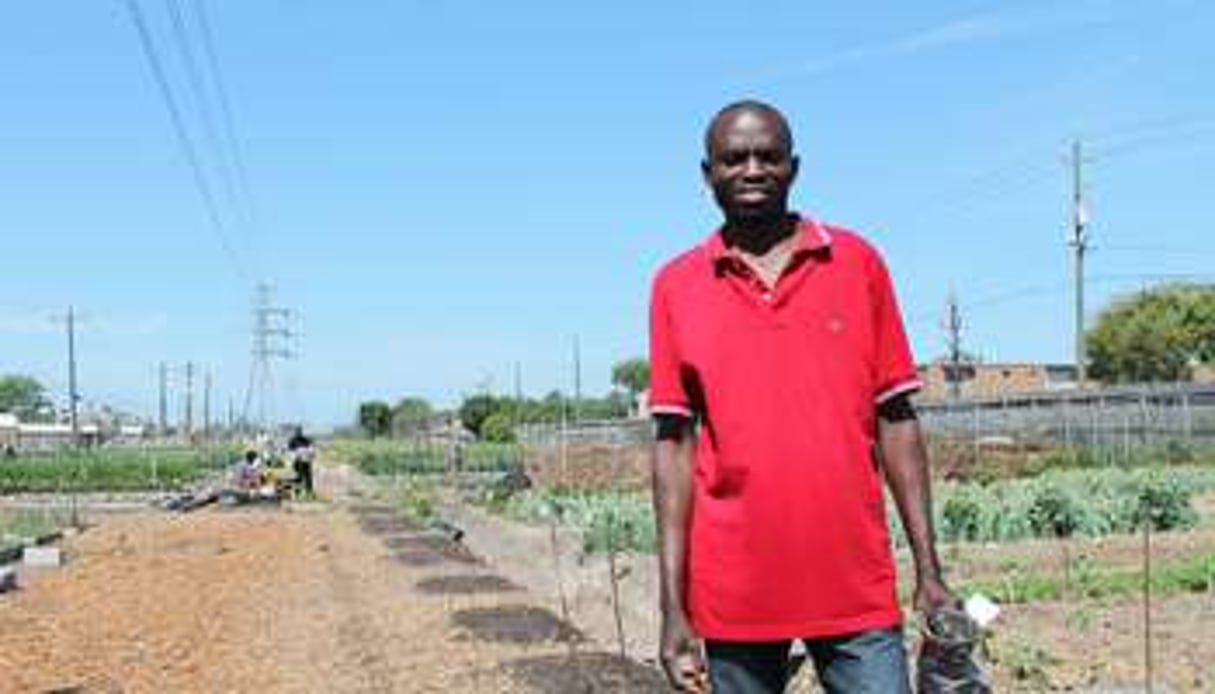 Constant Ngoula supervise l’une des fermes urbaines ouvertes par l’association Plant it Forward. © Cécile Fandos pour J.A.