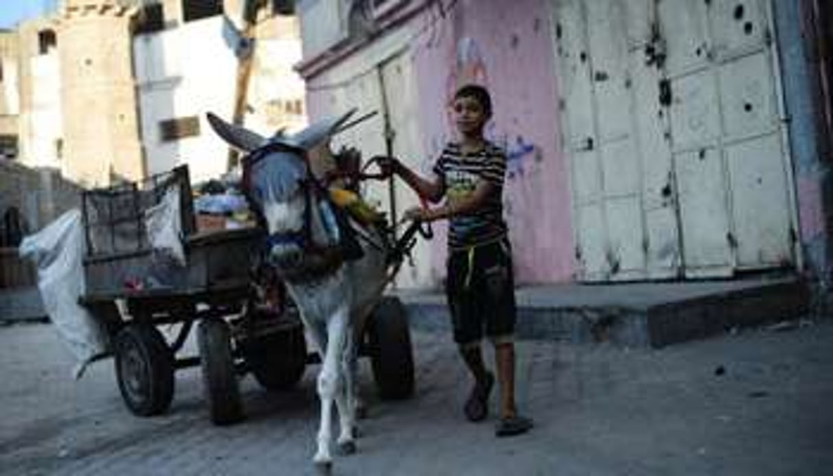 Un jeune Palestinien mène son âne dans les rues de Jabalia, le 14 août 2014. © Roberto Schmidt/AFP