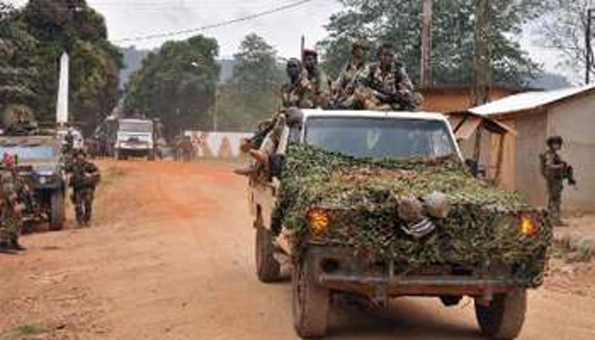 Des membres de l’ex-Séléka à Bangui le 28 janvier 2014. © AFP