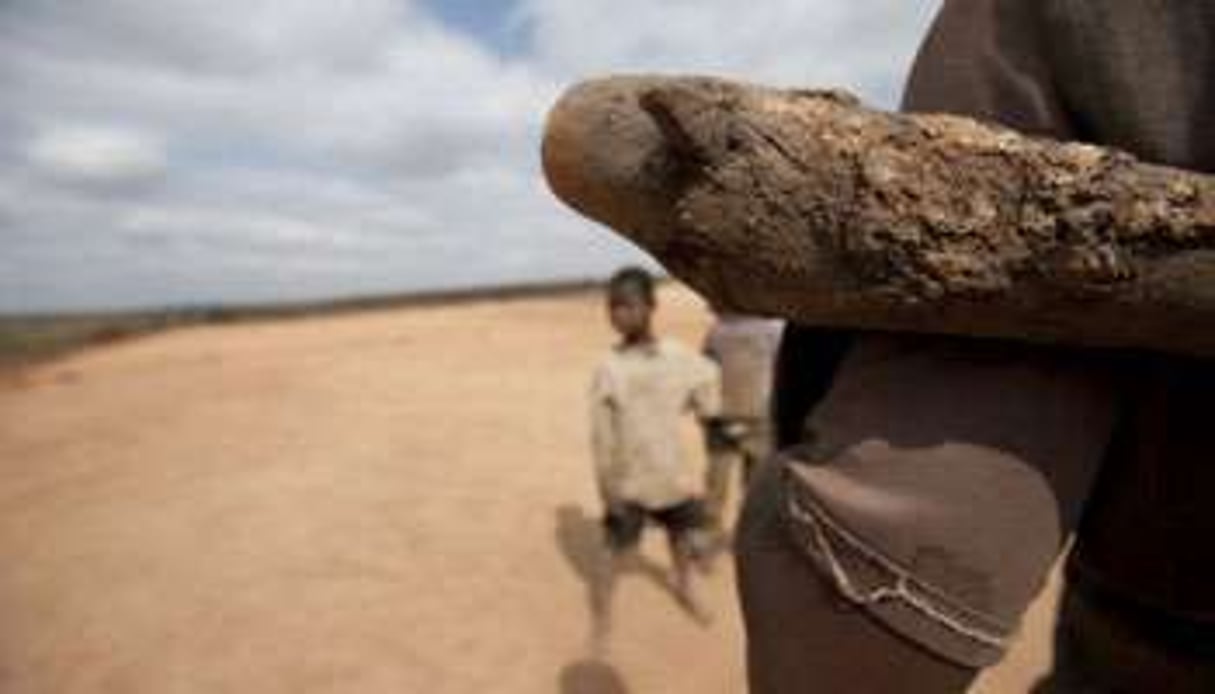 Un des milliers d’enfants travaillant dans les dangereuses mines d’or traditionnelles du Mali. © AFP