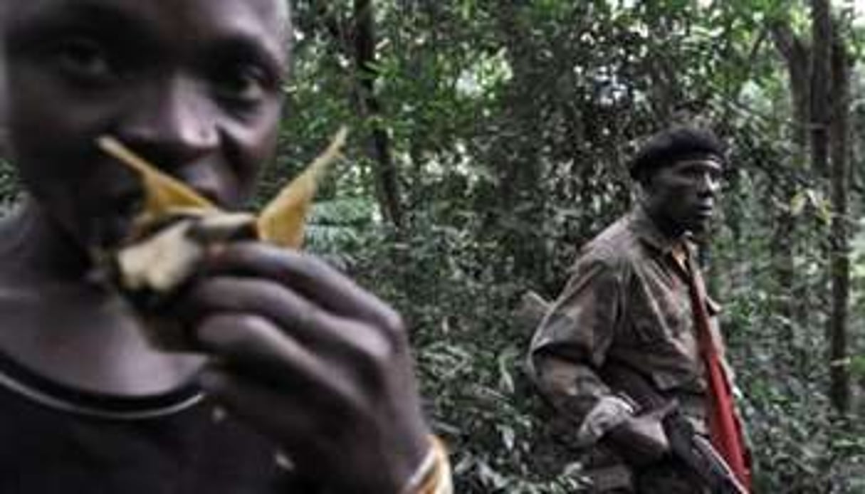 Des rebelles FDLR près de Pinga, à 150 km au nord-ouest de Goma, dans l’est de la RDC. © AFP