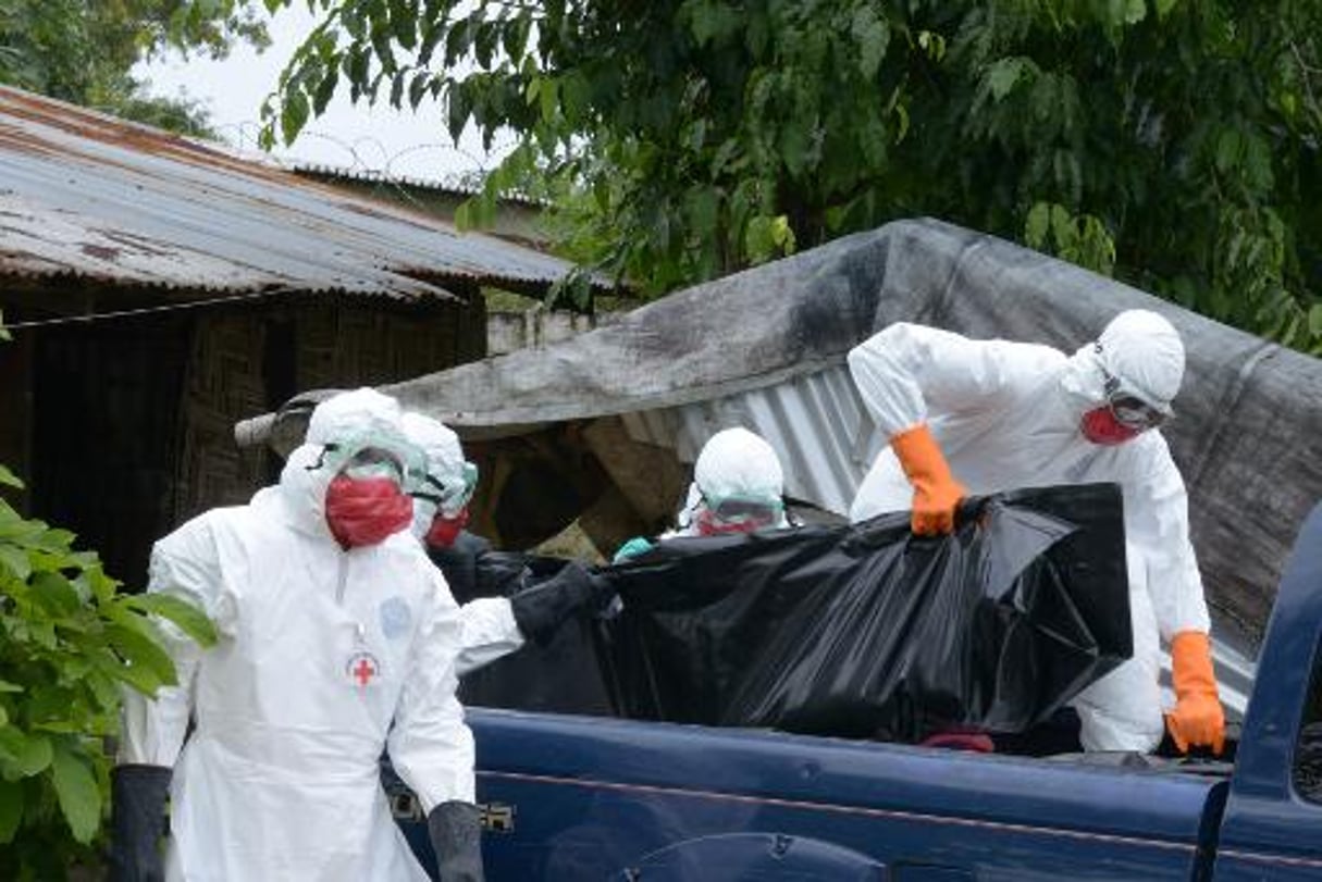 Ebola: les ONG françaises peinent à mobiliser les donateurs © AFP