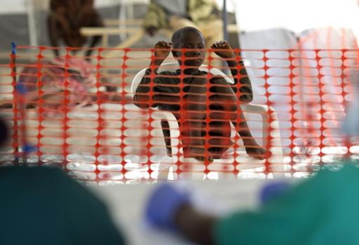 Ebola: les pays touchés et la communauté internationale veulent anéantir le virus © AFP