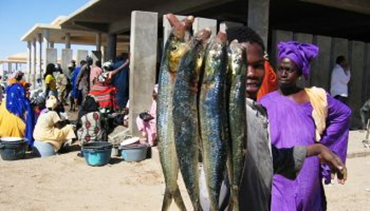 La pêche représente 30 % du budget de l’État mauritanien. © Tom Hannen/Wikimedia Commons