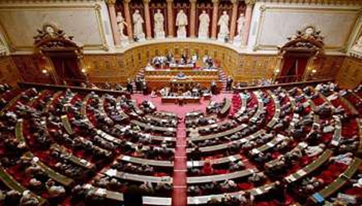 L’Assemblée nationale a voté en faveur de la résolution par 339 voix contre 151. © AFP