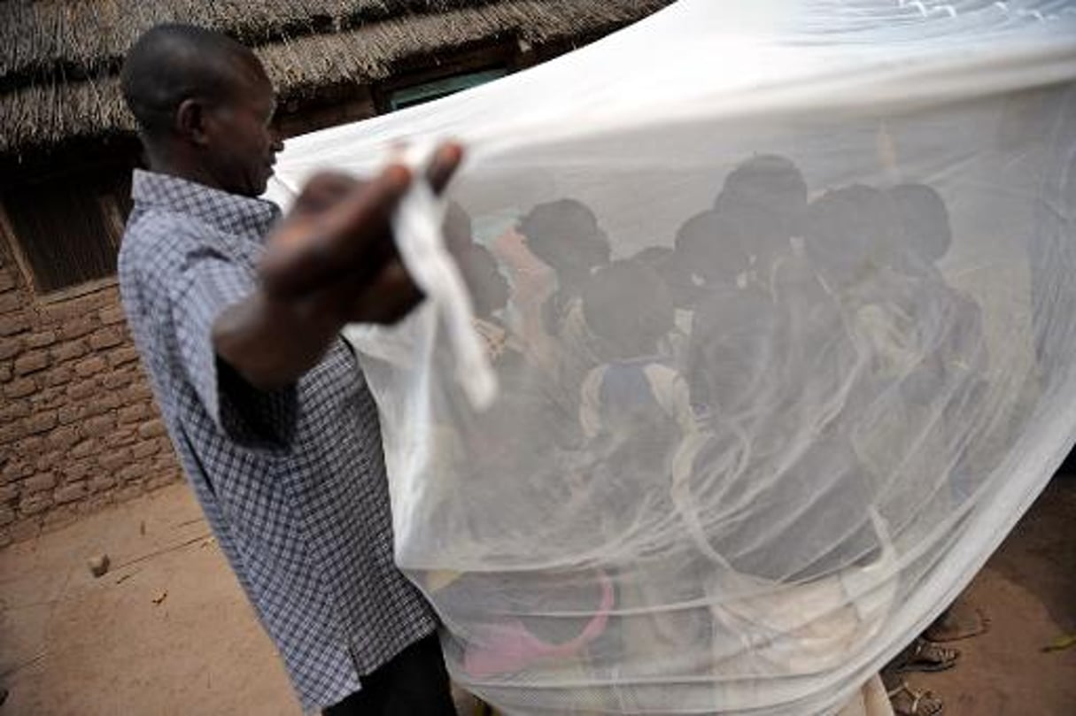 Paludisme: deux fois moins de personnes décèdent depuis 2000 © AFP