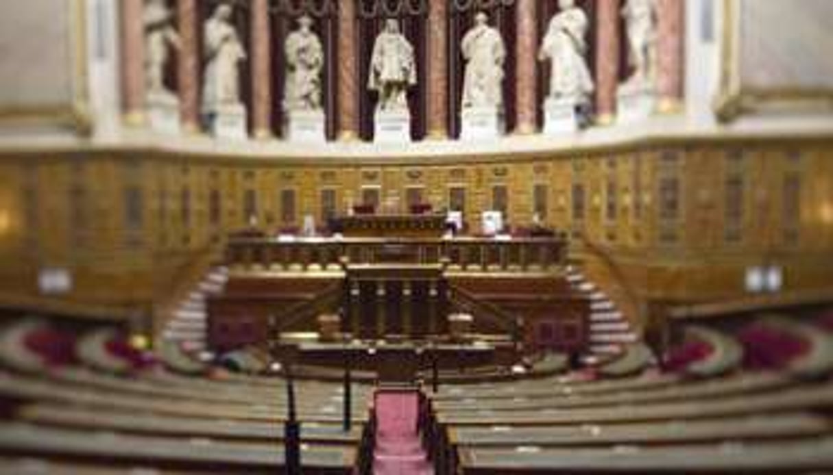 Le Sénat français. © Joel Saget/AFP