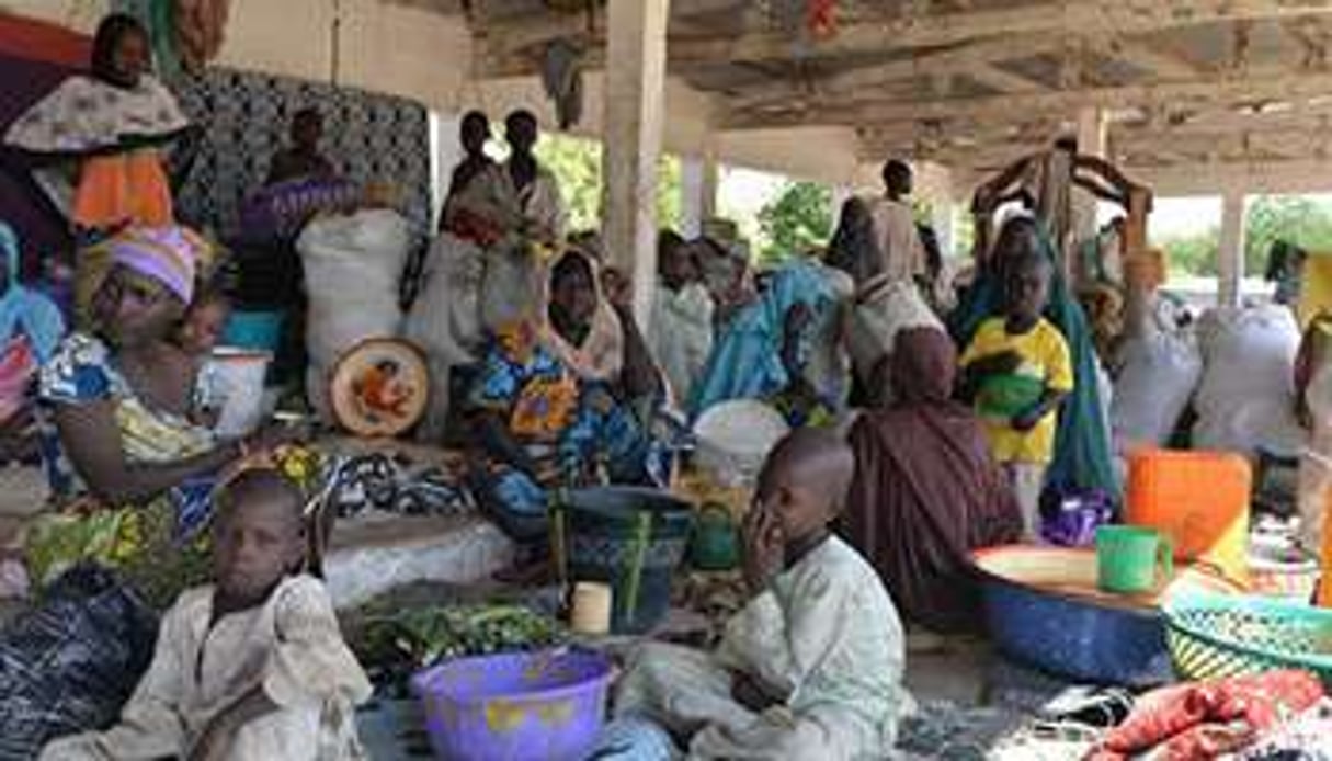 Des réfugiés nigérians à Mora, dans le nord-ouest du Cameroun. © AFP