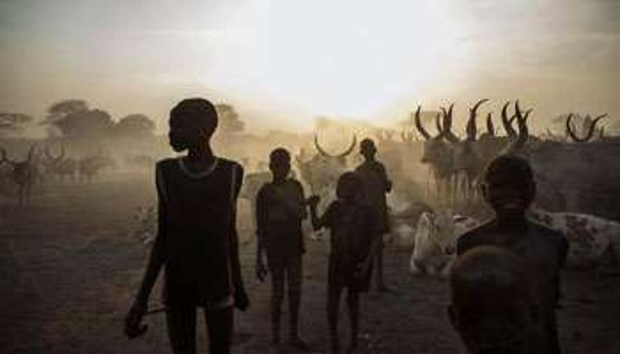 Des enfants de l’ethnie Dinka à Yirol, dans le centre du Soudan du Sud, le 12 février 2014. © AFP