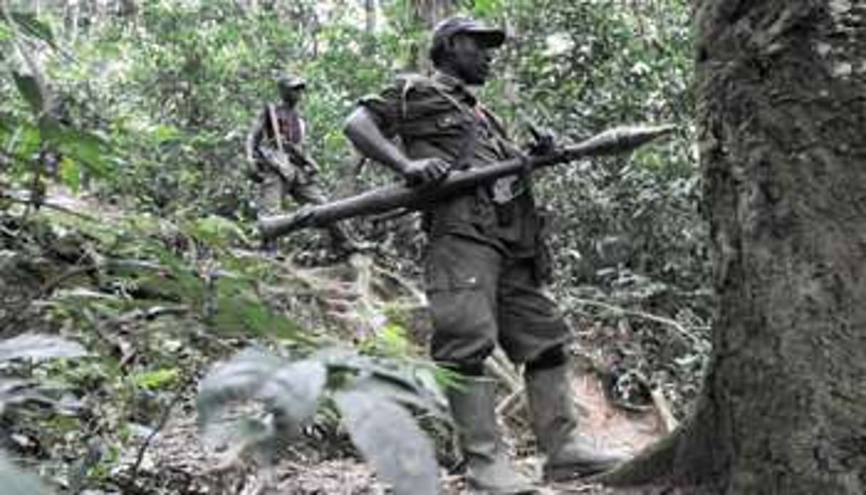 Combattants FDLR dans l’est de la RDC. © AFP