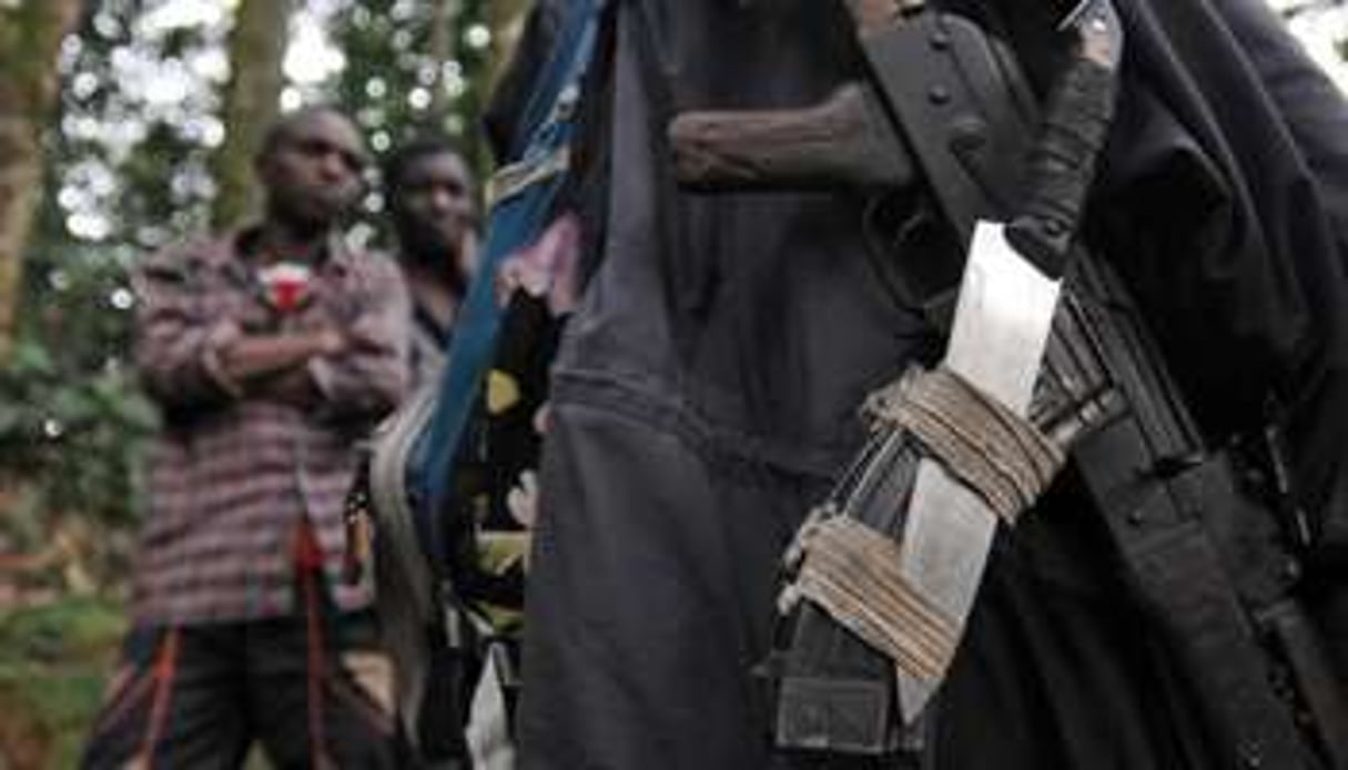 Les armes d’un rebelle des FDLR dans la forêt autour de Pinga, à 150 km au nord-ouest de Goma. © AFP