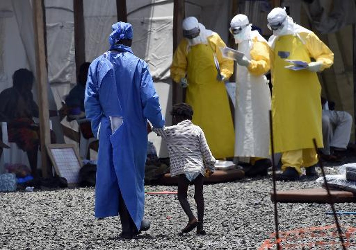 Ebola: des tests de vaccins réalisés dès la fin janvier dans les zones de contamination © AFP