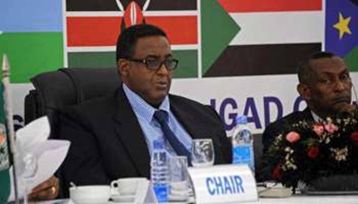 Le nouveau Premier ministre somalien, Omar Abdirashid Ali Sharmarke, le 10 janvier à Mogadiscio. © AFP