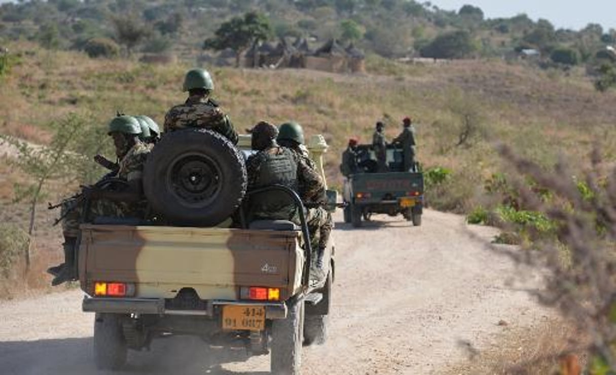 Cameroun: huit civils tués dans une attaque de Boko Haram © AFP