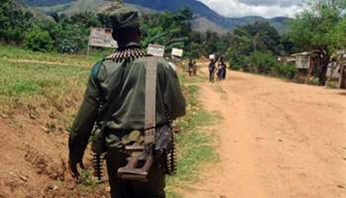Des miliciens actifs au Sud-Kivu. © AFP