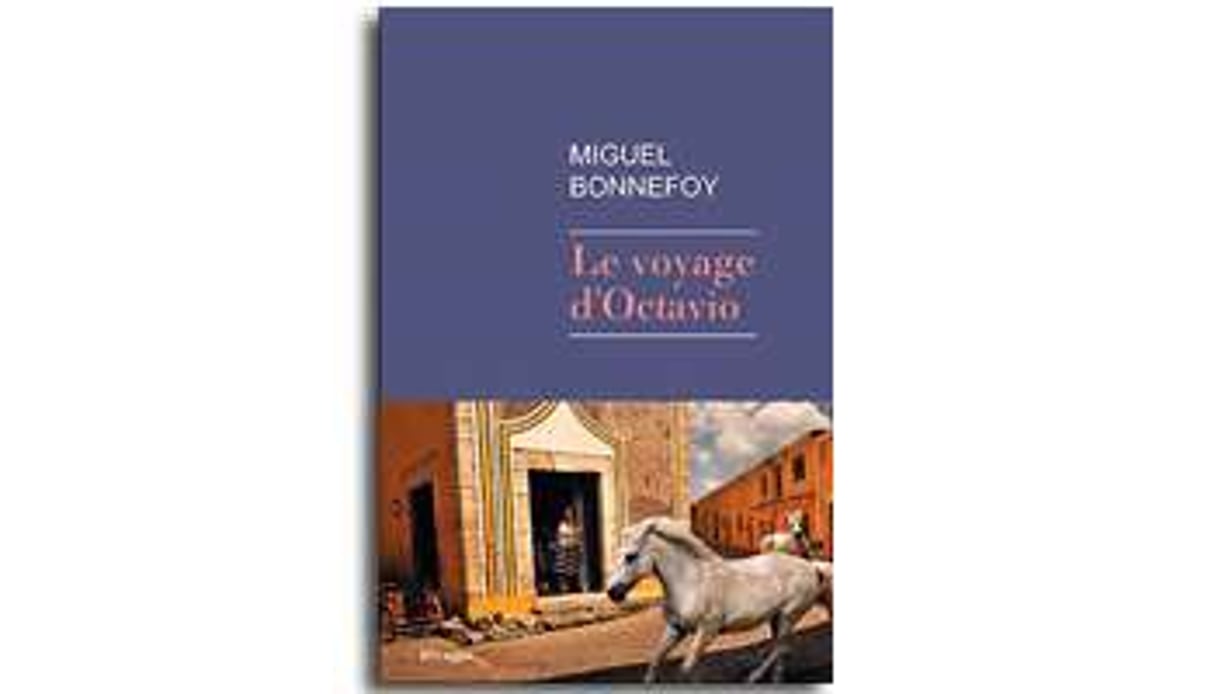 Le Voyage d’Octavio, de Miguel Bonnefoy. © DR