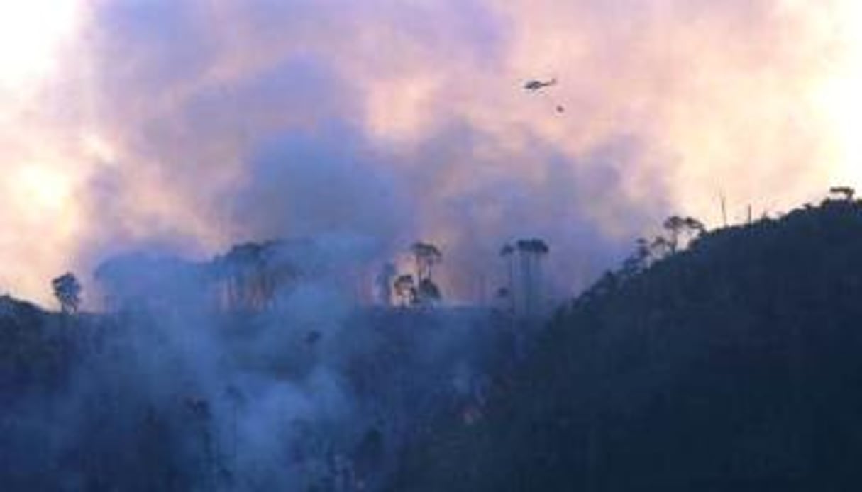 Afrique du Sud: la très touristique péninsule du Cap ravagée par le feu © AFP.