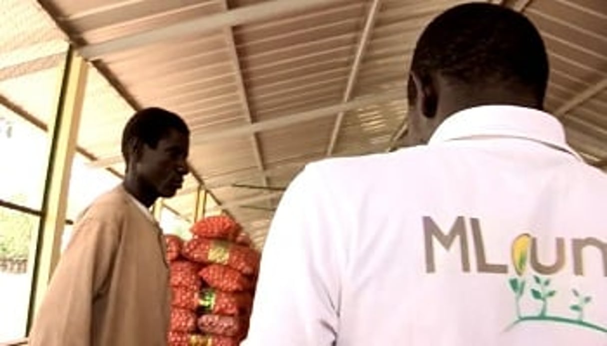 La plateforme Mlouma a déjà séduit plus de 3 000 producteurs agricoles au Sénégal, selon son promoteur, le jeune entrepreneur Aboubacar Sidy Sondo. © Réussite