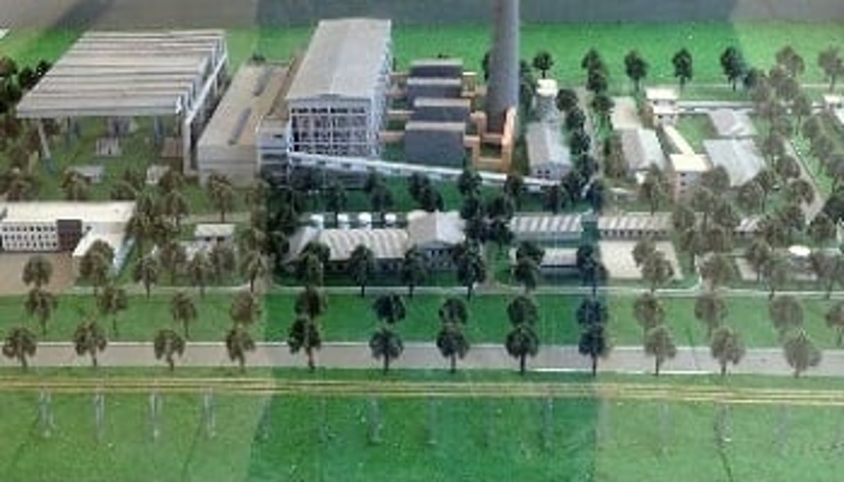 Maquette de la centrale électrique de Salkadamna. © cmen-niger.com