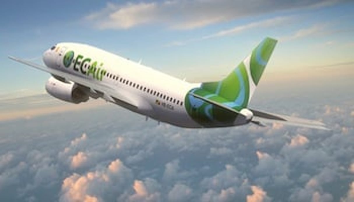 La compagnie congolaise ECAir a transporté 200 000 voyageurs en 2013. © ECAir