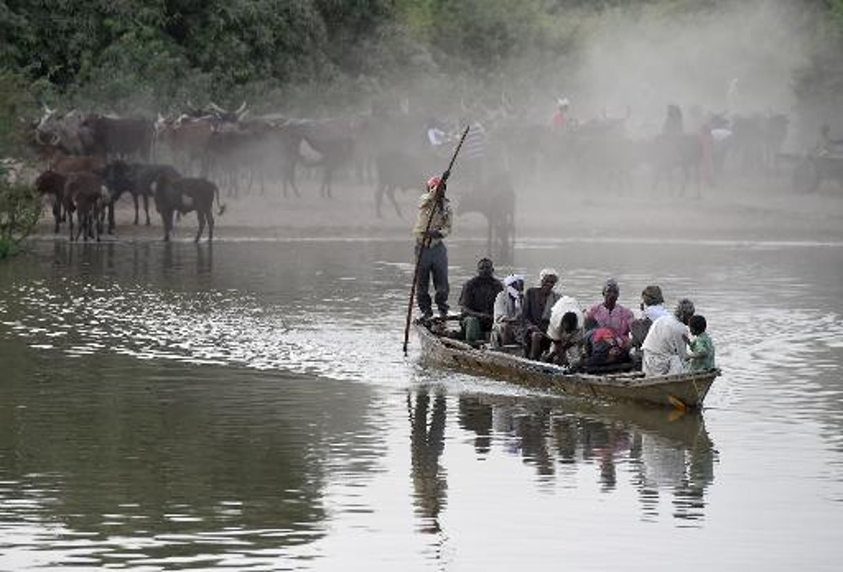 Niger: des milliers de personnes évacuées des îles du lac Tchad par crainte de Boko Haram © AFP