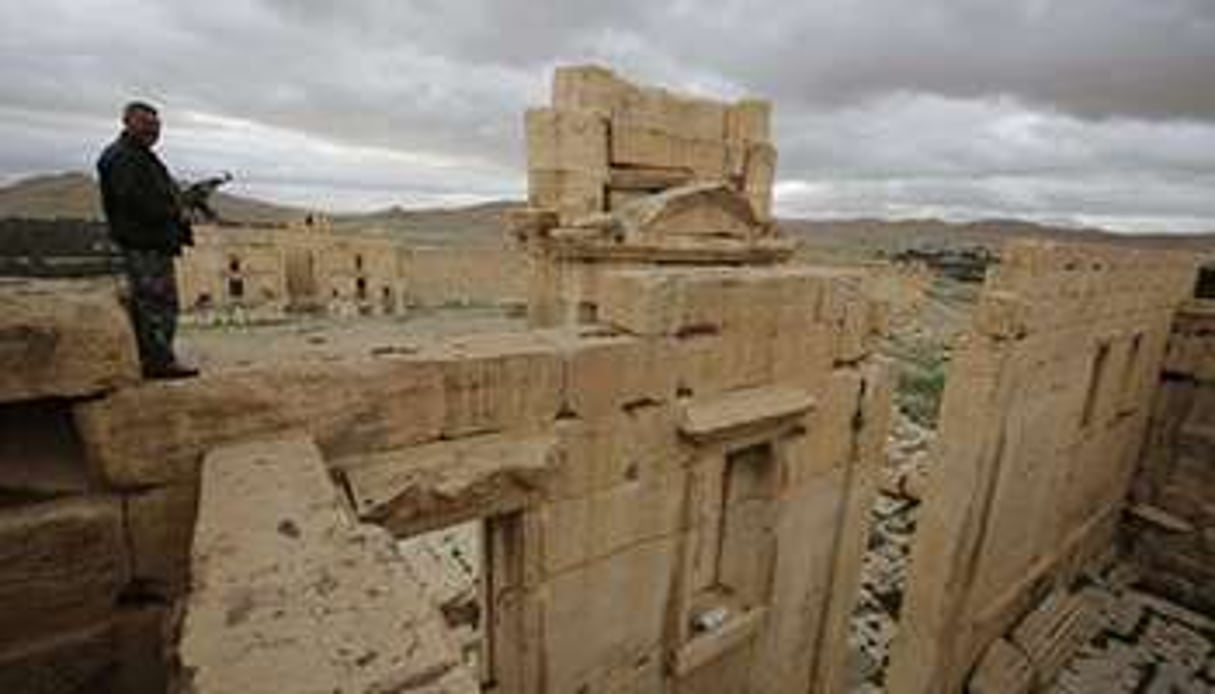 La cité antique de Palmyre en mars 2014. © Joseph Eid/AFP