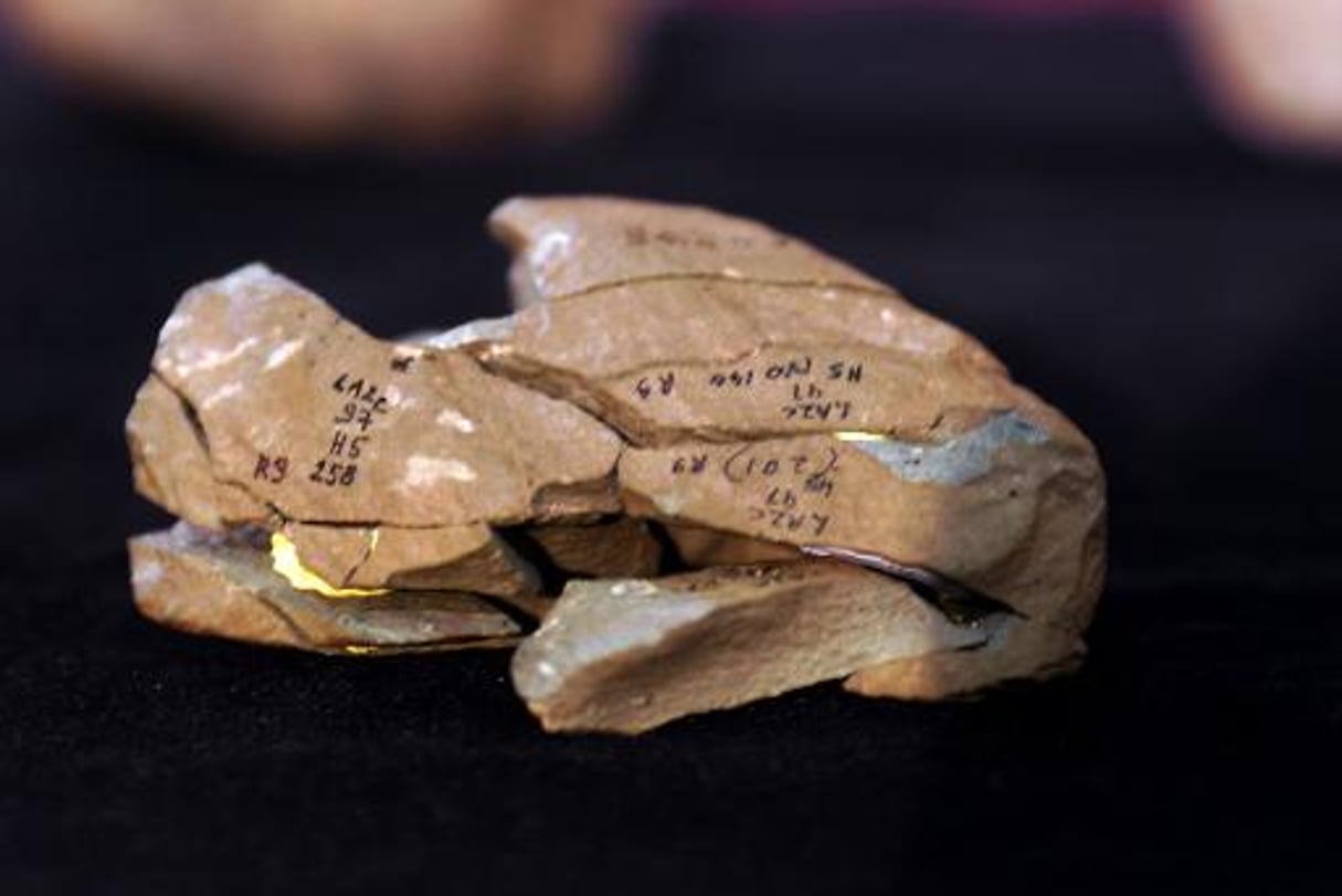 Nos ancêtres taillaient déjà des outils il y a 3,3 millions d’années © AFP