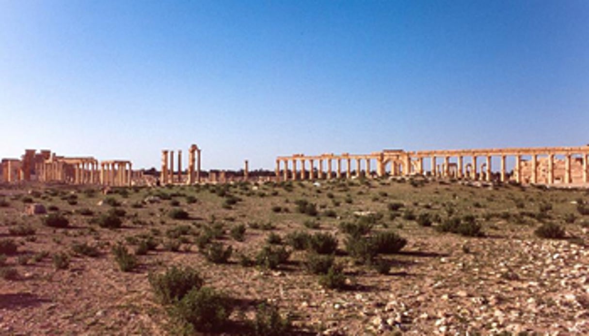Vue du site archéologique de Palmyre. © Jacqueline Poggi/Flickr