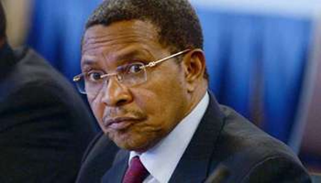 Le président Jakaya Kikwete. © AFP