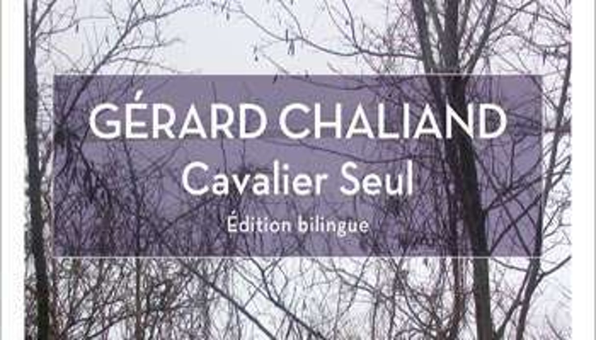 Cavalier seul, de Gérard Chaliand, éditions de L’Aube, 224 pages, 14 €