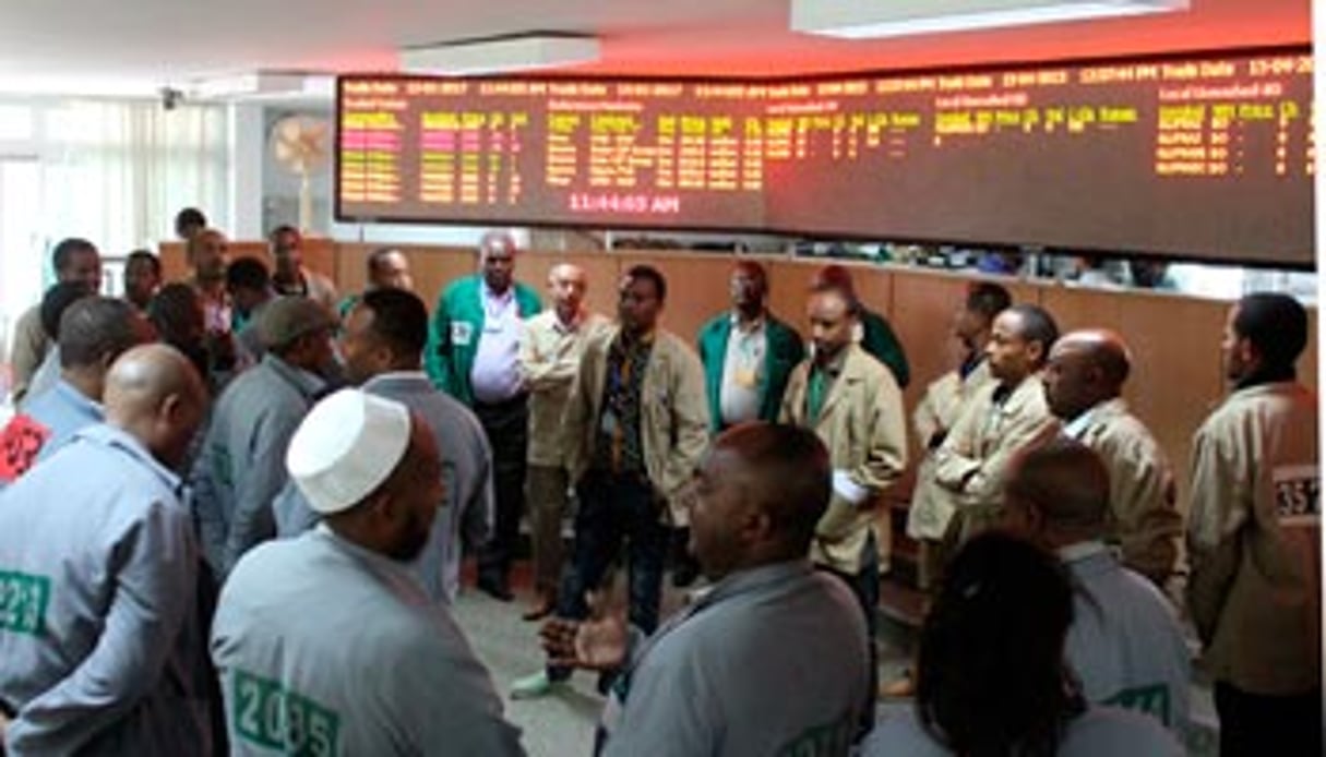 En gilet vert, les vendeurs, en gris, les acheteurs, devant le tableau d’affichage des transactions de l’Ethiopia Commodity Echange. © Grégoire Pourtier