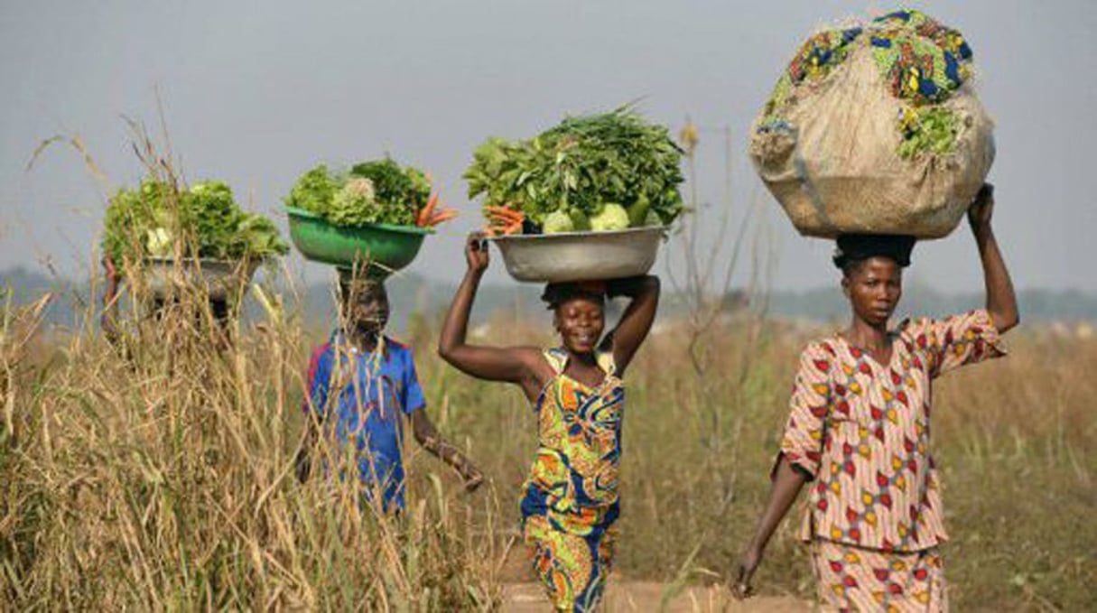 Centrafricaines allant vendre leurs légumes au marché de Bangui. © Miguel Medina/AFP