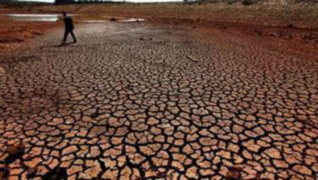 L’Afrique est particulièrement vulnérable au changement climatique. © AFP