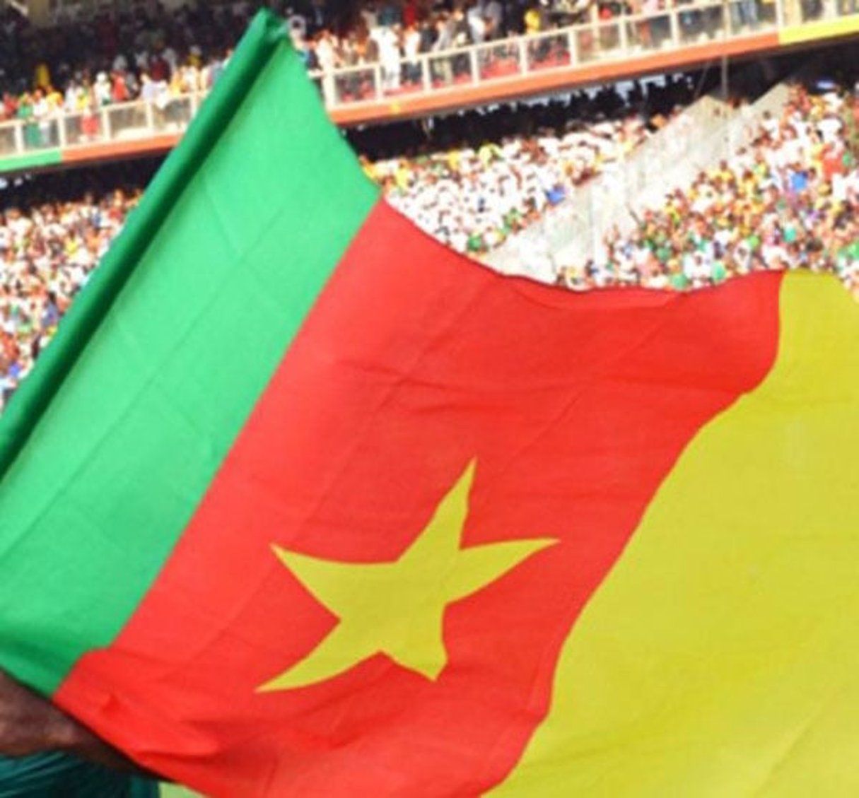 La foule en liesse, après la qualification du Cameroun à la Coupe du monde 2014. © STR/AFP