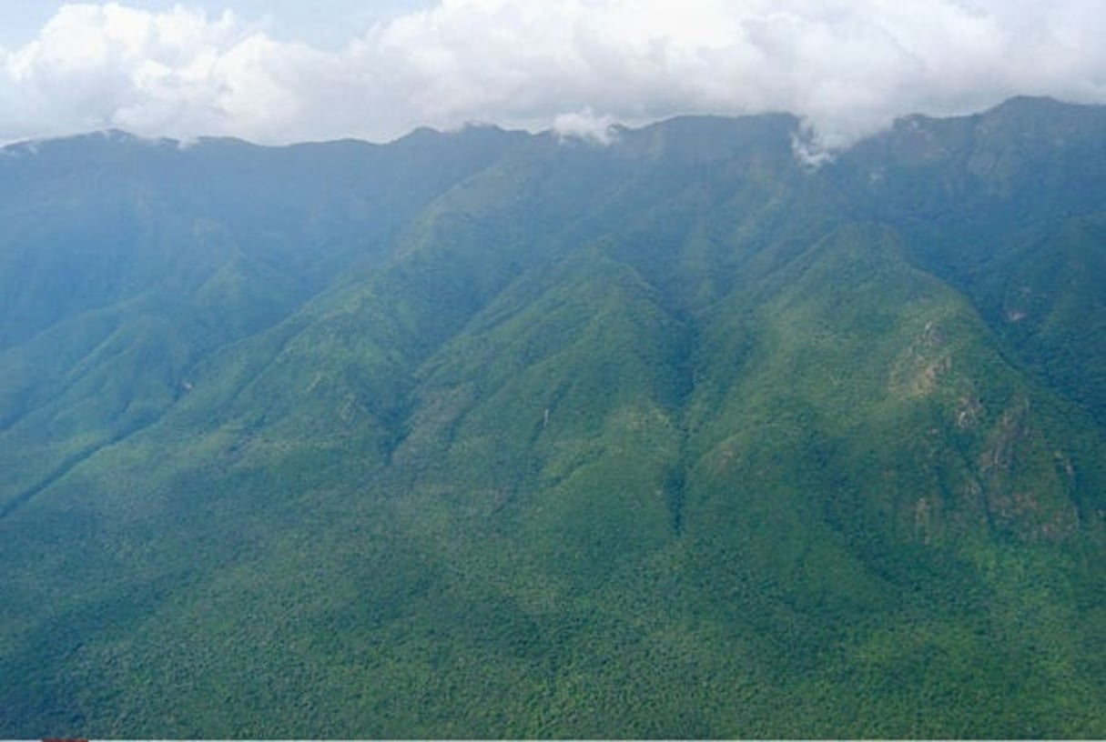 Vue aérienne du parc des Virunga, en RDC. © AP/SIPA