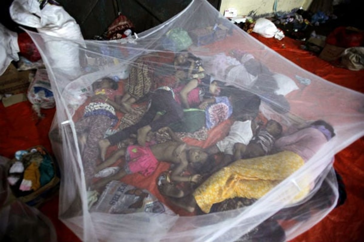 Des enfants protégés par une moustiquaire en Indonésie. © Binsar Bakkara/AP/SIPA