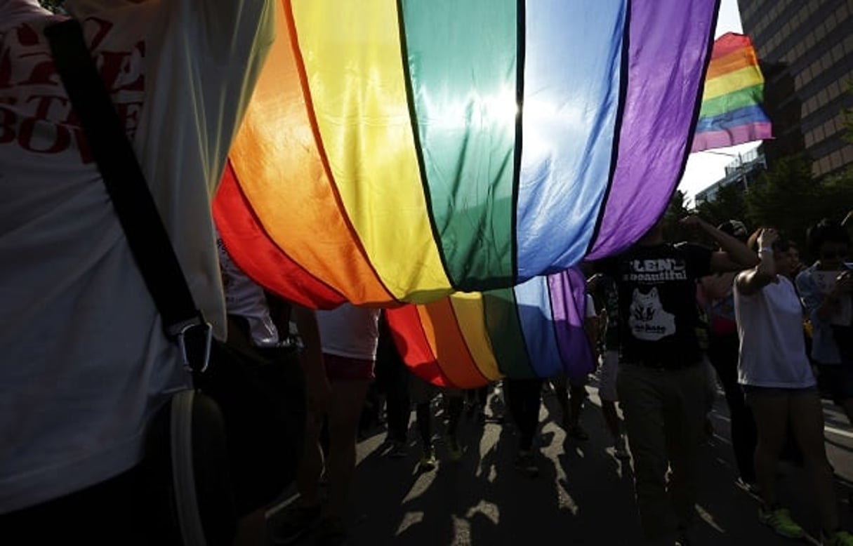 Le drapeau multicolore gay. © Lee Jin-man/AP/SIPA