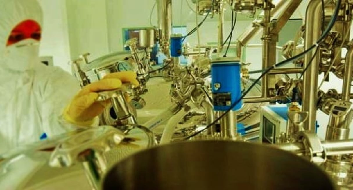 Vue de la chaîne de production d’une usine pharmaceutique. © DR