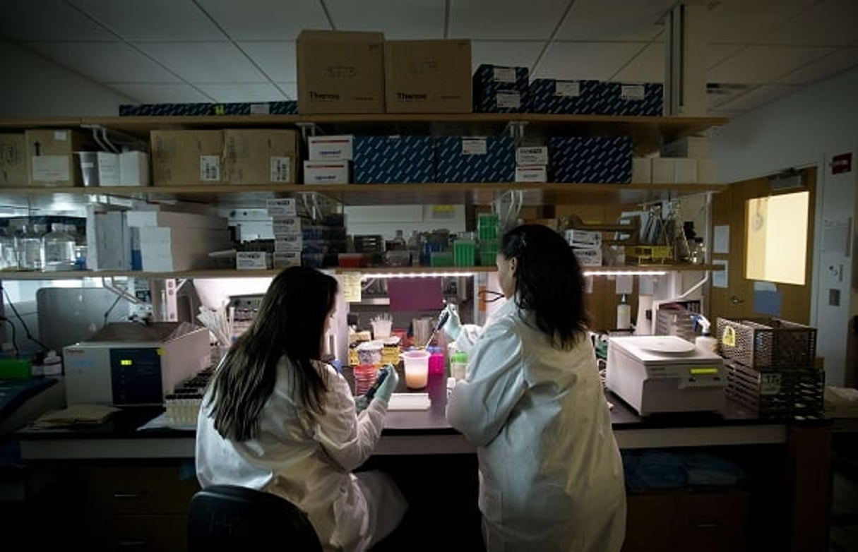 Deux microbiologistes sont en train d’extraire une bactérie afin d’en établir le génome (photo d’illustration). © David Goldman/AP/SIPA