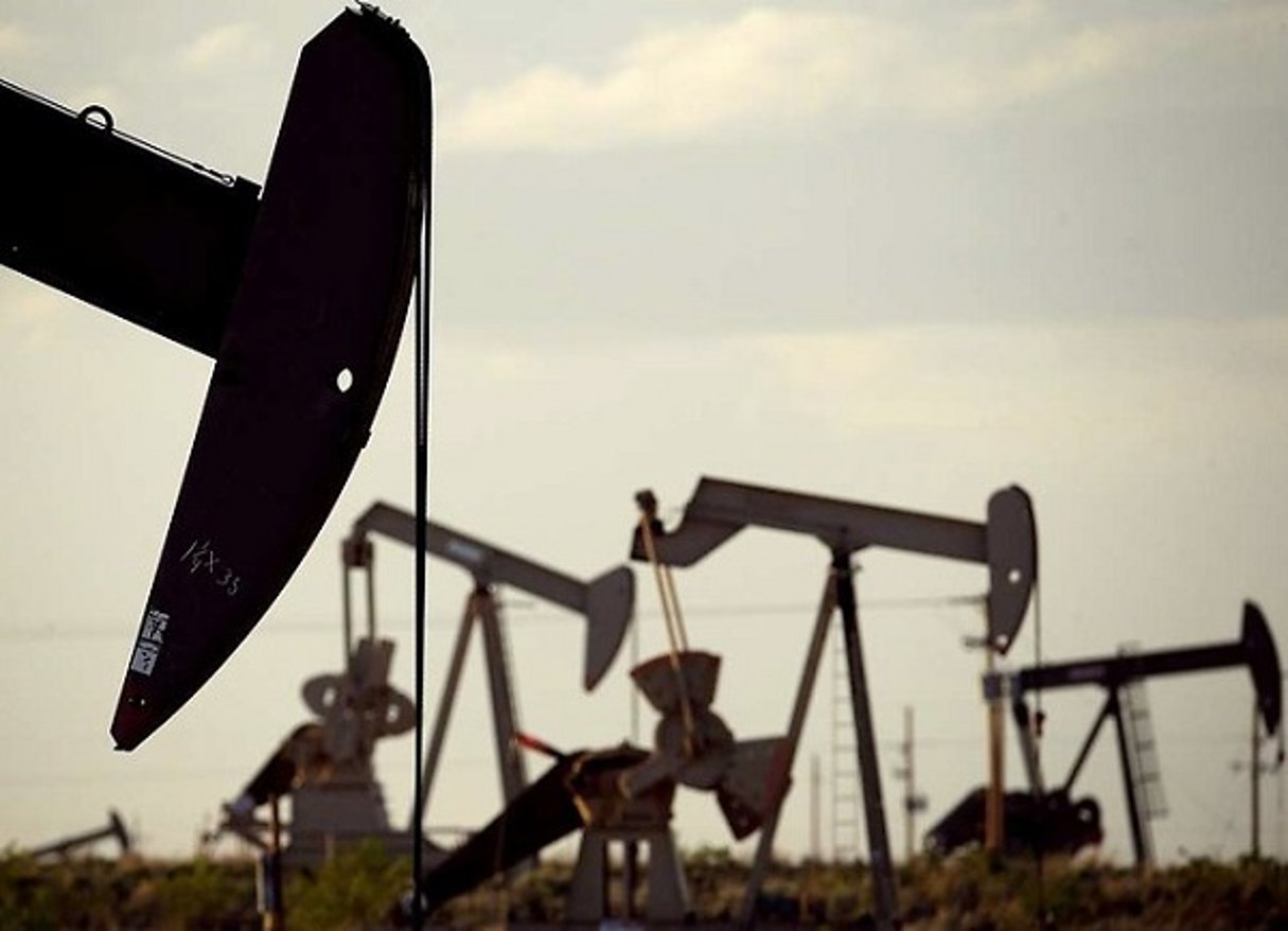 Vue d’un champ pétrolier. © Charlie Riedel/AP/SIPA
