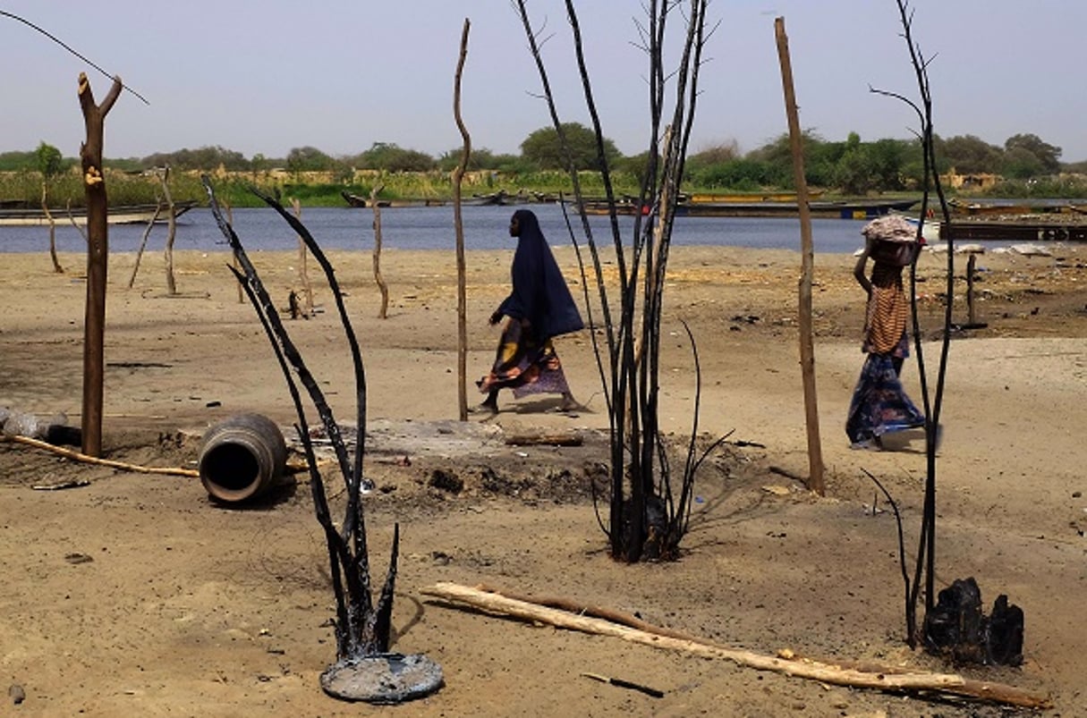 Aux abords du lac Tchad en mars 2015. © Jérôme Delay/AP/SIPA