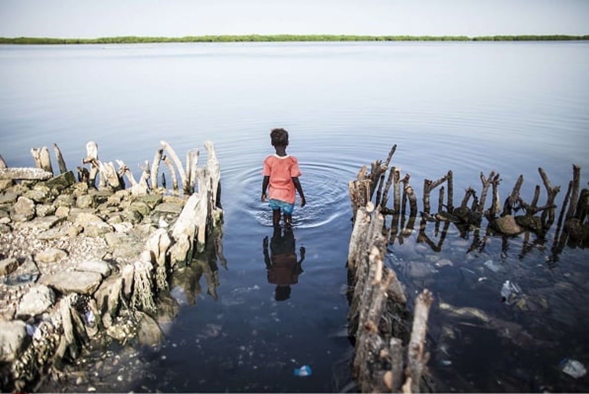 Le delta de Saloum au Sénégal est menacé par la montée des eaux. © Jane Hahn / AP / SIPA