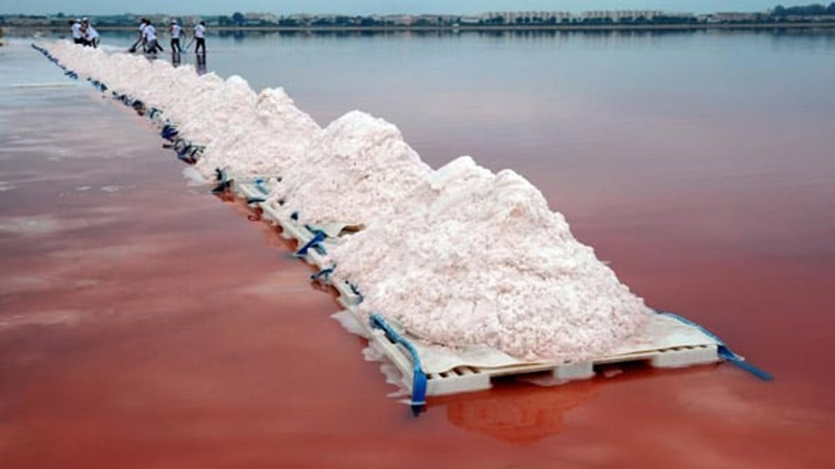 Le sel serait pour la Tunisie, le nouvel « or blanc » © AFP
