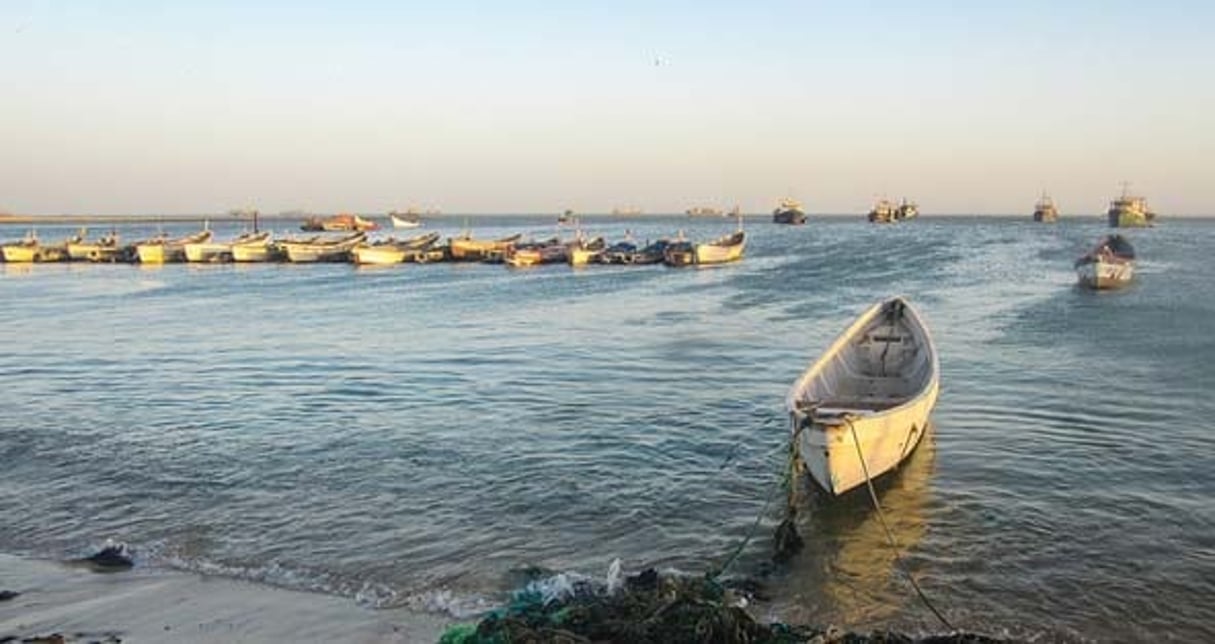 Bateaux de pêche à Nouadhibou. © Jbdodane/FlickrCC