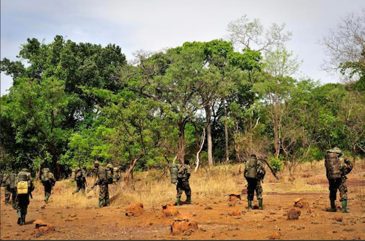 Des soldats ougandais patrouillent dans la jungle pour débusquer des membres de l’Armée de résistance du Seigneur (LRA), le 18 avril 2012, en Centrafrique. © AFP
