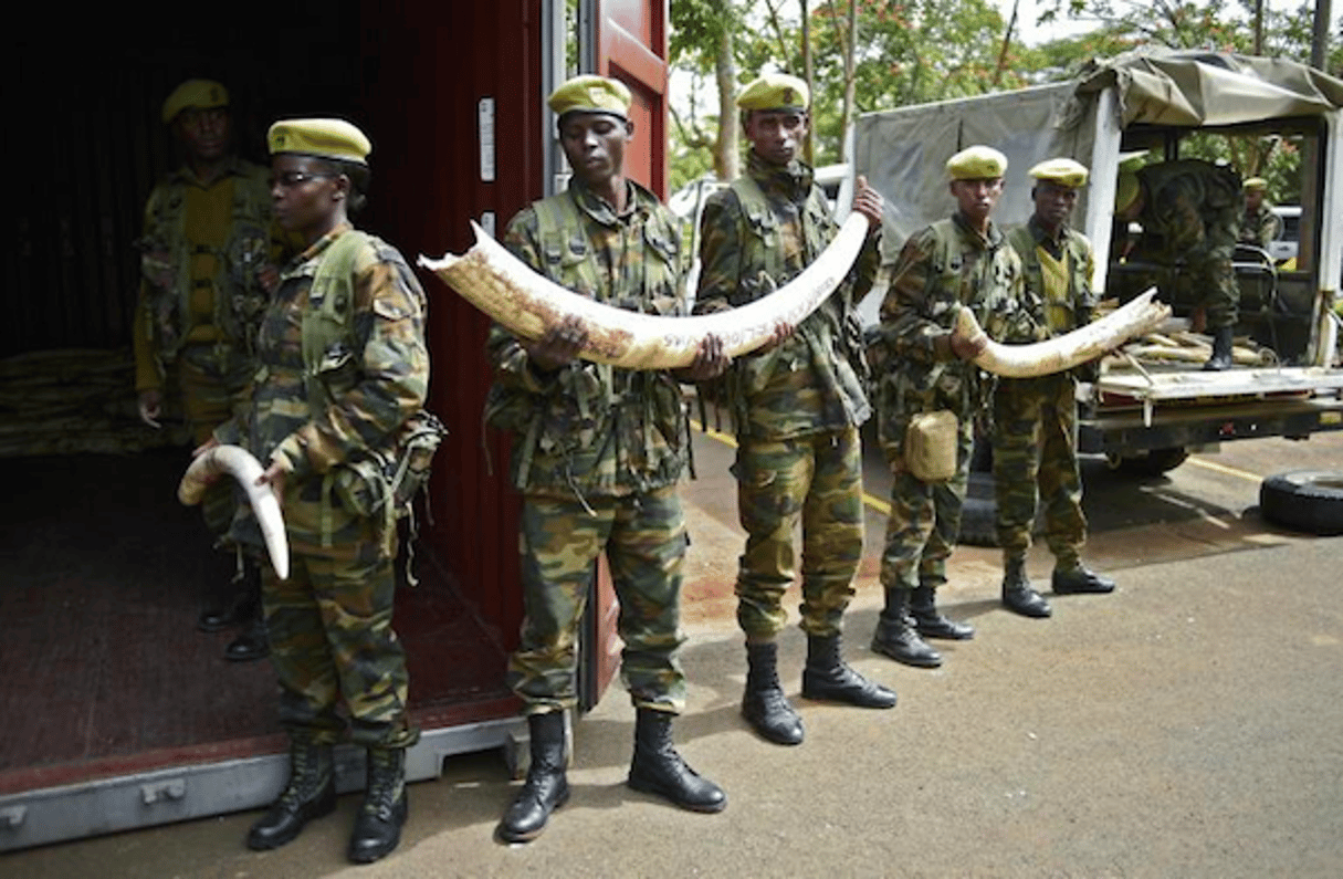 Des soldats kényans vident des camions remplis d’ivoire en provenance de tout le pays, à Nairobi, le 15 avril 2016. © AFP