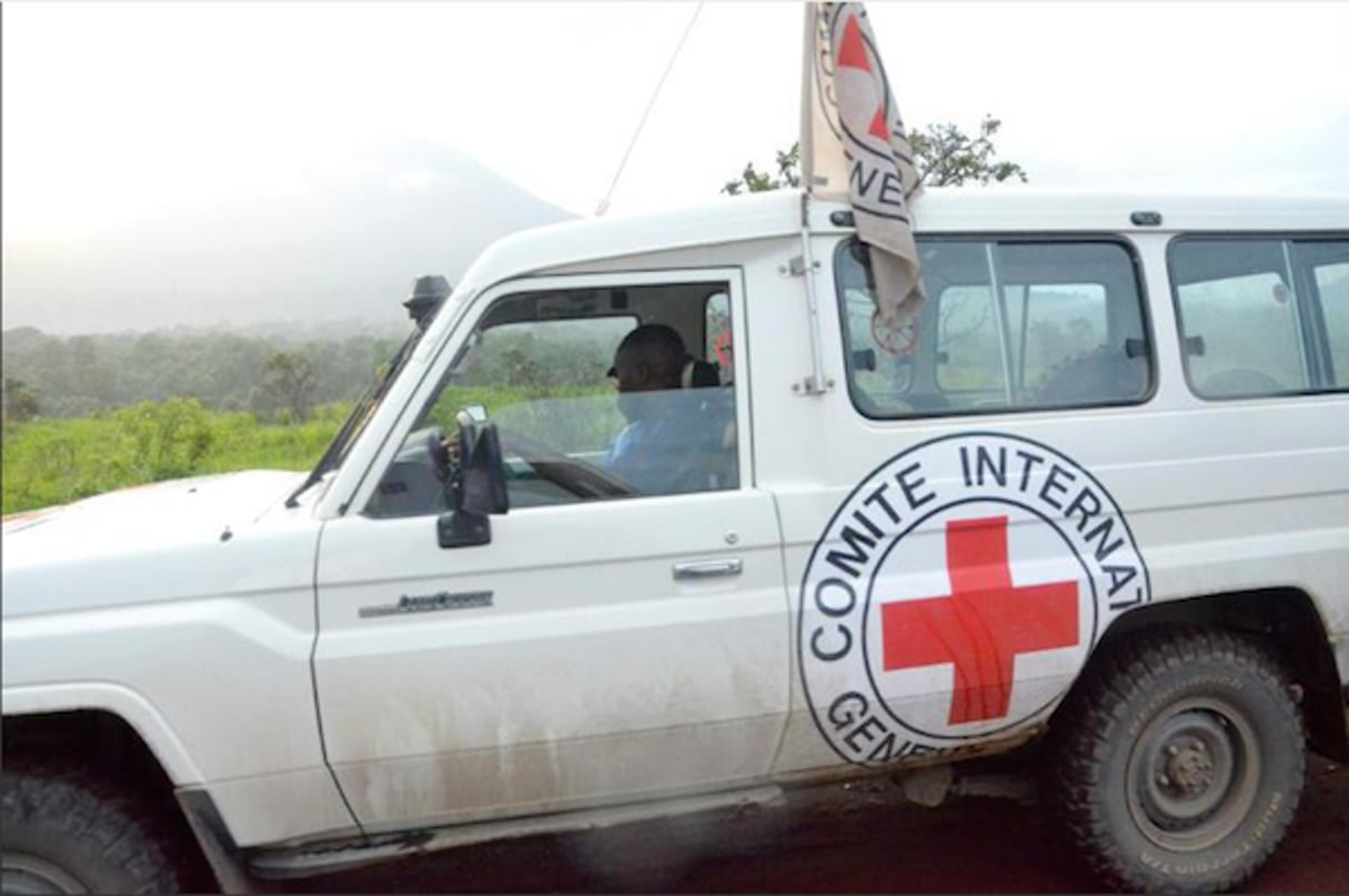 Trois employés de la Croix-Rouge internationale ont été enlevés ple 3 mai 2016 par des hommes armés non identifiés dans l’est de la RD Congo. © AFP