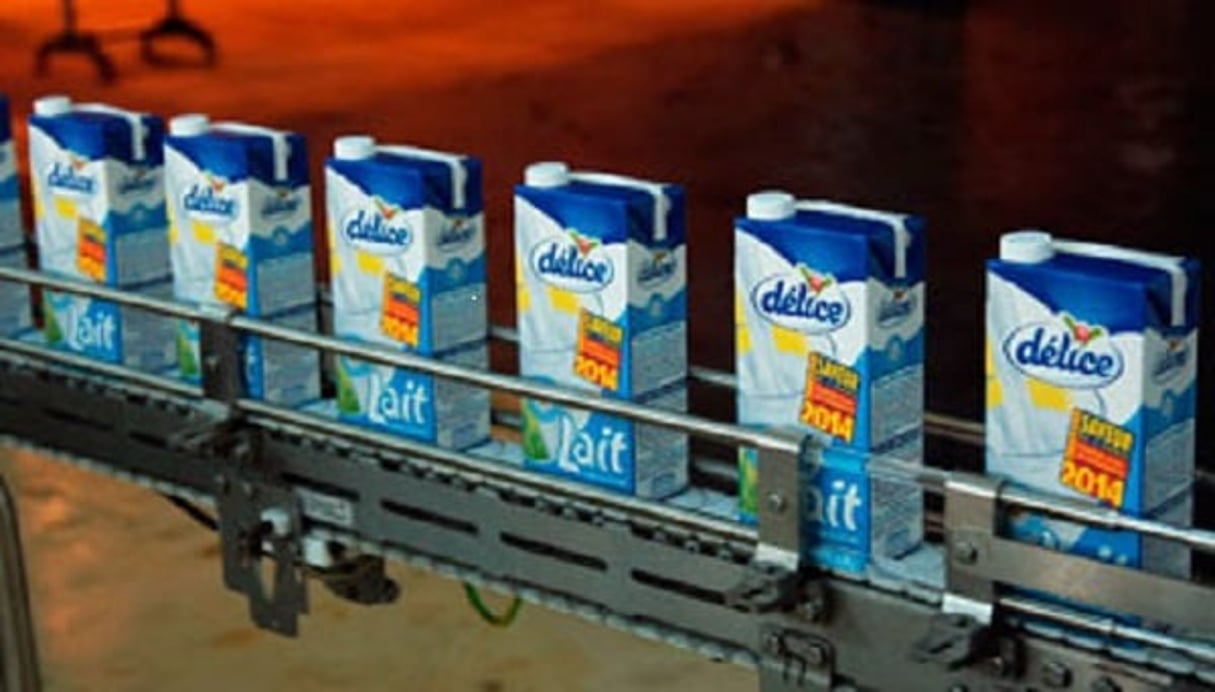 Le cœur de métier de Délice Holding est dans la production de lait. © Délice Holding