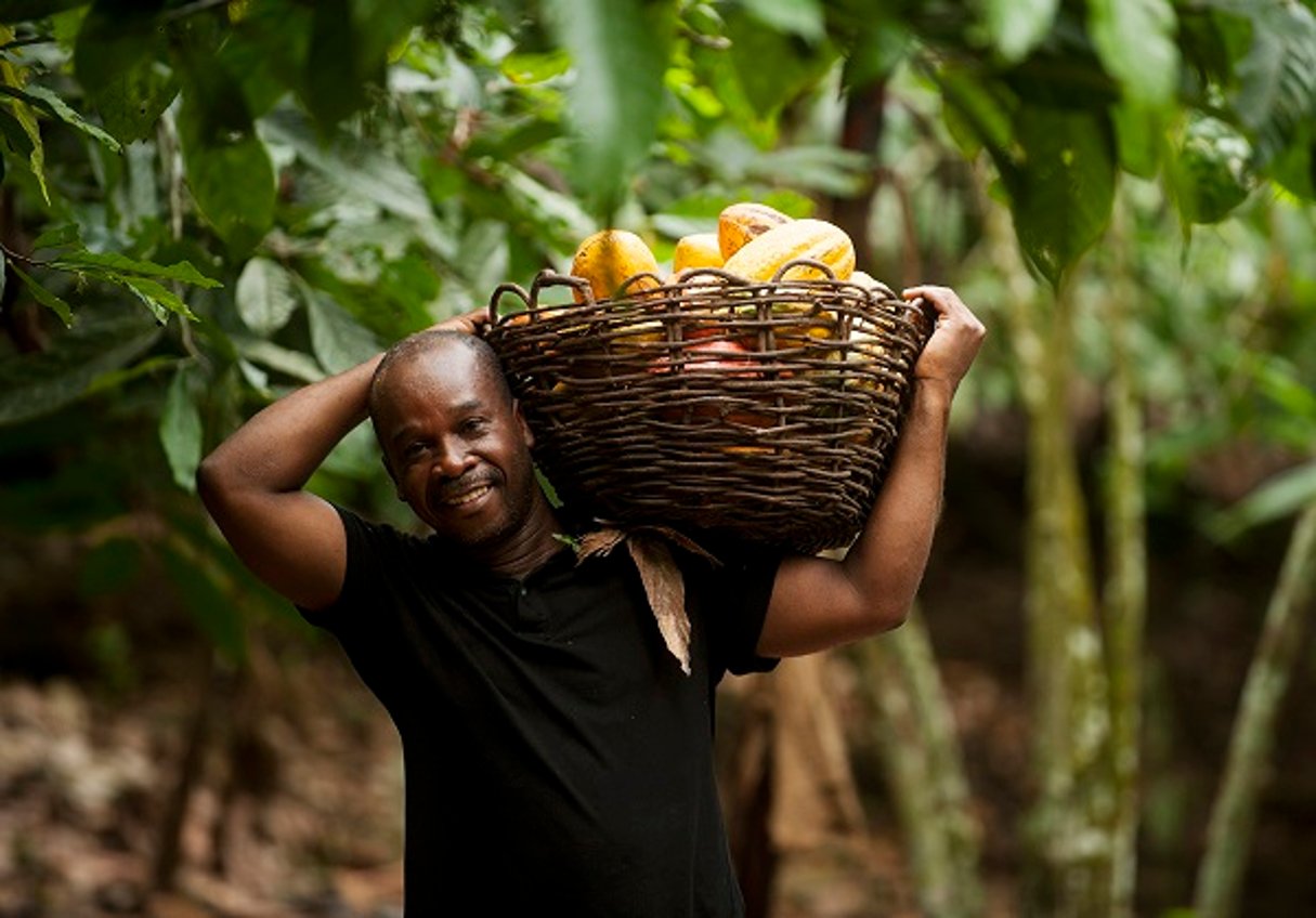 Fortin Bley, président de Fairtrade Africa en Afrique de l’Ouest et producteur de cacao en Côte d’Ivoire, transportant des fèves de cacao dans sa coopérative CANN à N’Douci, Côte d’Ivoire. © Eric St-Pierre/Fairtrade-Max Havelaar