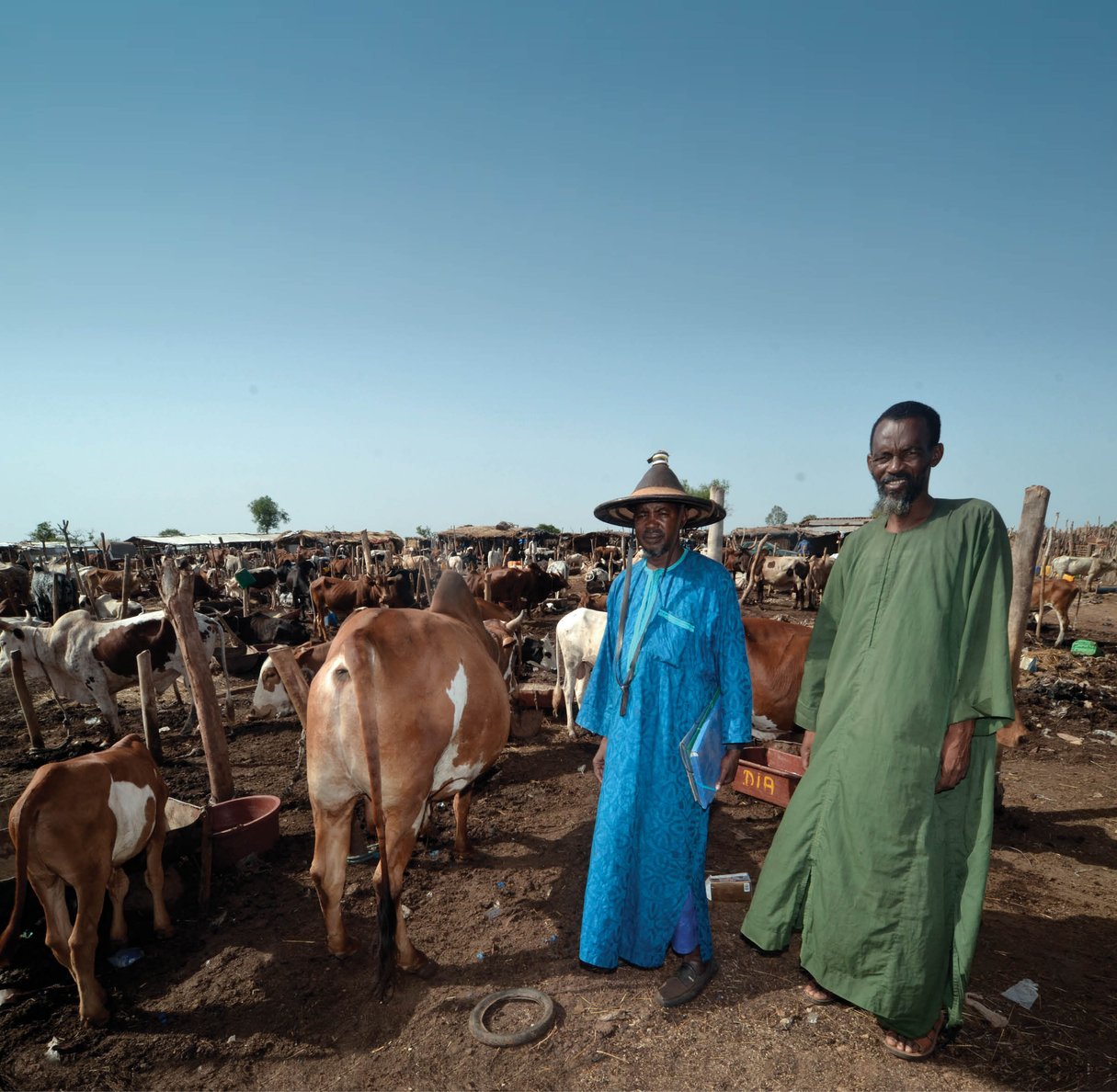 Des bergers peuls à Niamana Garbal, l’immense marché au bétail à l’entrée de Bamako, le 1er juin 2016. © Emmanuel Daou Bakary pour J.A.